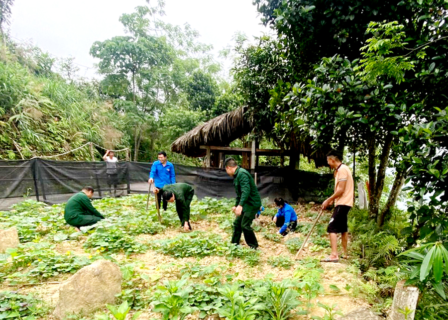 Hội Cựu chiến binh xã Thanh Thủy (Vị Xuyên) giúp hội viên cải tạo vườn tạp.                                       Ảnh: CTV                                             