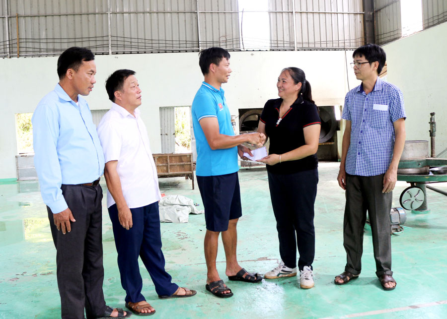 Lãnh đạo Liên minh HTX thăm hỏi, động viên và tặng quà hỗ trợ cho HTX Minh Quang
