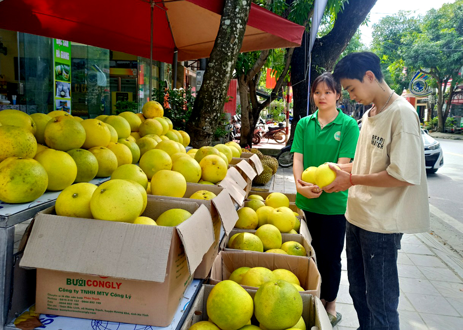 Bưởi Phúc Trạch được người dân mua tại cửa hàng Nông sản vùng miền – Sản phẩm OCOP tỉnh 