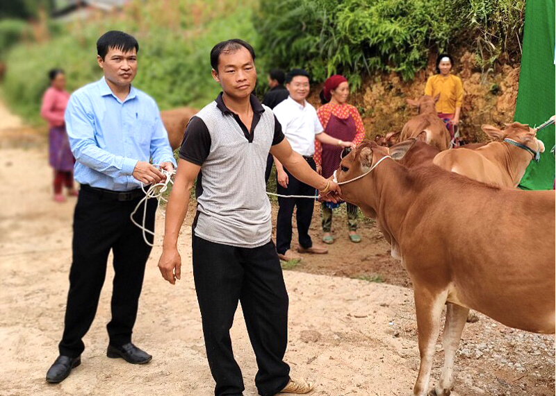 Hội viên nông dân thôn Khai Hoang 1 xã Hữu Vinh nhận bò hỗ trợ
