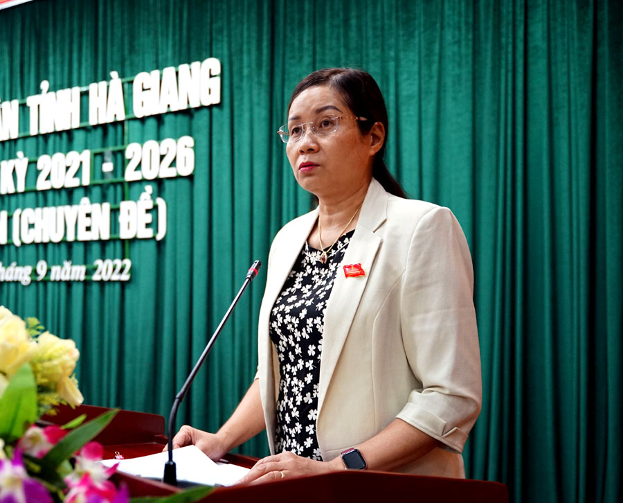 Phó Chủ tịch UBND tỉnh Hà Thị Minh Hạnh giải trình một số nội dung tại kỳ họp.
