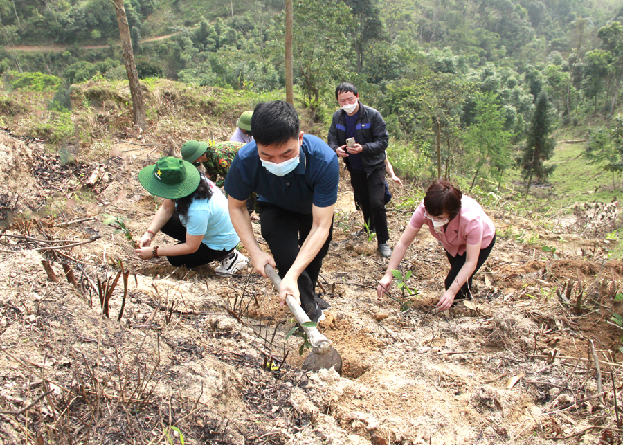 Cán bộ, đảng viên giúp nhân dân xã Thanh Thủy trồng rừng kinh tế.
