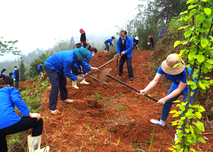 Cán bộ và nhân dân xã Sủng Máng thực hiện cải tạo vườn tạp tại thôn Sủng Ú.