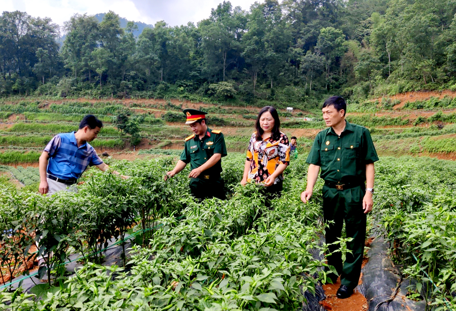 Chủ tịch Hội CCB Mèo Vạc Nông Thanh Hải (ngoài cùng bên phải) và lãnh đạo huyện kiểm tra việc thực hiện cải tạo vườn tạp tại thôn Nà Trào, xã Tát Ngà.