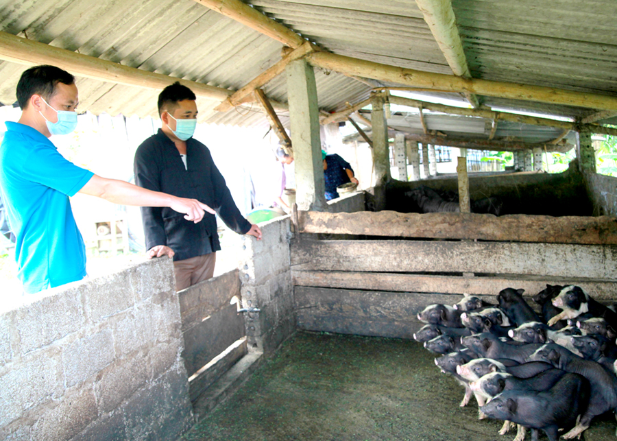 Người dân xã Đông Minh (Yên Minh) đẩy mạnh chăn nuôi, nâng cao thu nhập. 			Ảnh: LINH CẦM