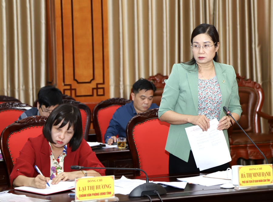 Phó Chủ tịch UBND tỉnh Hà Thị Minh Hạnh phát biểu thảo luận tại buổi làm việc
