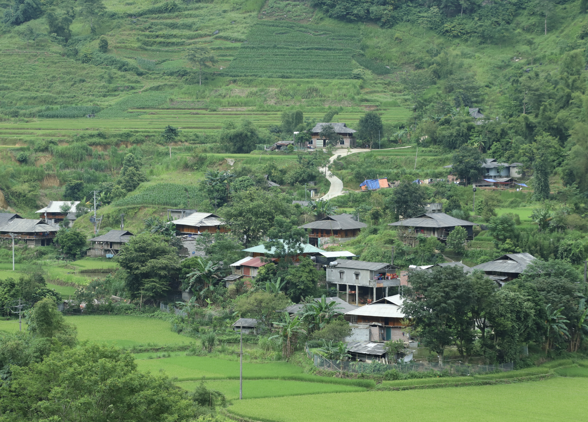 Những làng Tày là ưu tiên lựa chọn lưu trú của du khách quốc tế khi đến Du Già.