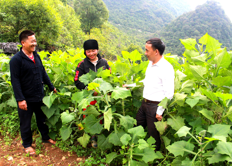 Người dân thôn Sà Tủng Chứ chuyển đổi cơ cấu cây trồng, phát triển kinh tế.

