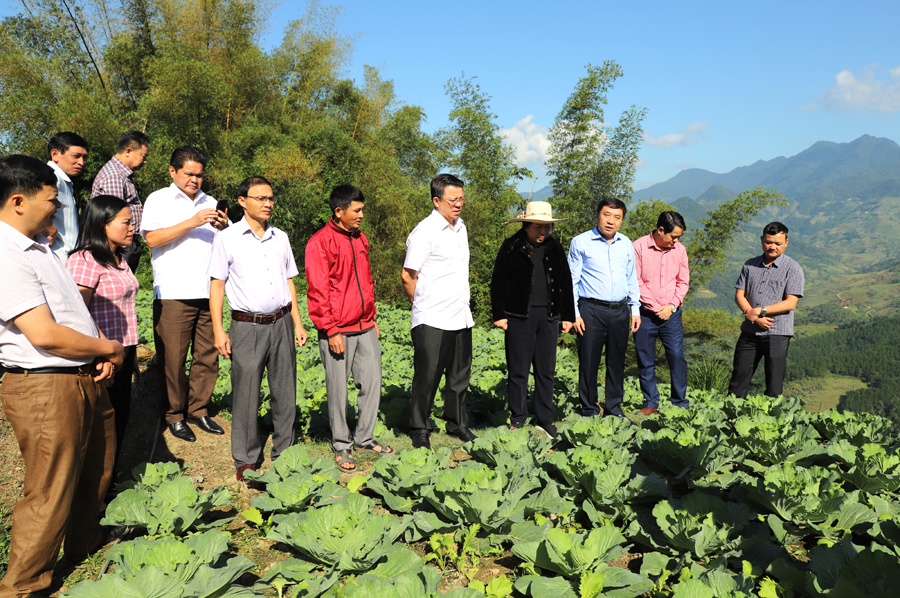 Đoàn công tác thăm mô hình cải tạo vườn tạp của gia đình ông Hoàng Văn Diện, thôn Nà Tiềng, xã Niêm Sơn.