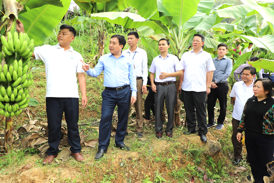 Phó Bí thư Tỉnh ủy Nguyễn Mạnh Dũng cùng đoàn công tác kiểm tra công tác dạy và học tại điểm trường thôn Phiêng Tòng.