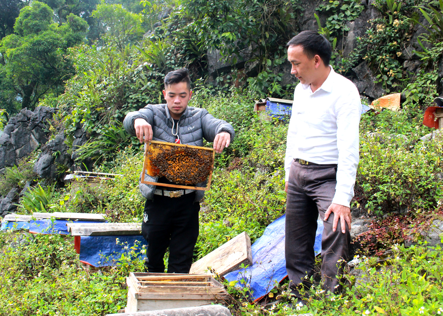 Anh Giàng Súa Dia (trái), thôn Tả Phìn B nhân rộng đàn ong, giúp tăng thu nhập.
