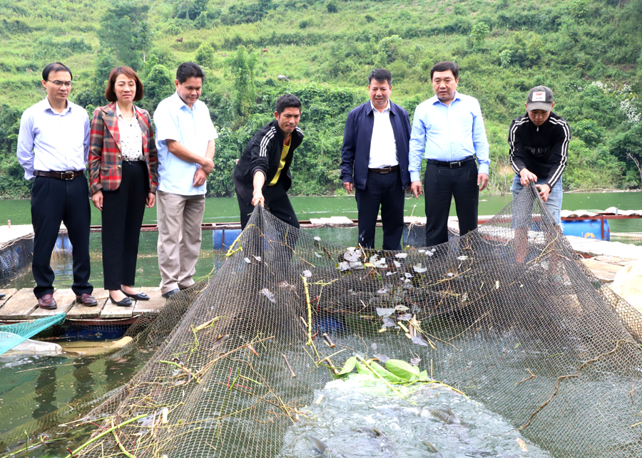 Phó Bí thư Tỉnh ủy thăm mô hình nuôi cá lồng trên lòng hồ Thủy điện Sông Chảy 3.