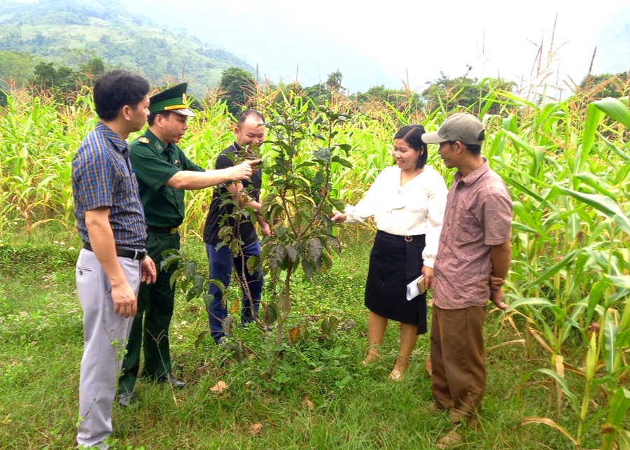 Anh Trần Hữu Hiếu và cán bộ xã Minh Tân (Vị Xuyên) kiểm tra mô hình cải tạo vườn tạp tại thôn Tân Sơn.
