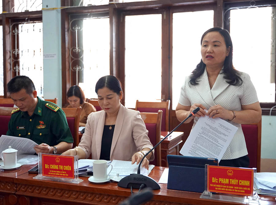 Đồng chí Phạm Thúy Chinh, Phó Chủ nhiệm Ủy ban Tài chính – Ngân sách Quốc hội, đại biểu Quốc hội khóa XV tỉnh Hà Giang phát biểu tại buổi giám sát.
