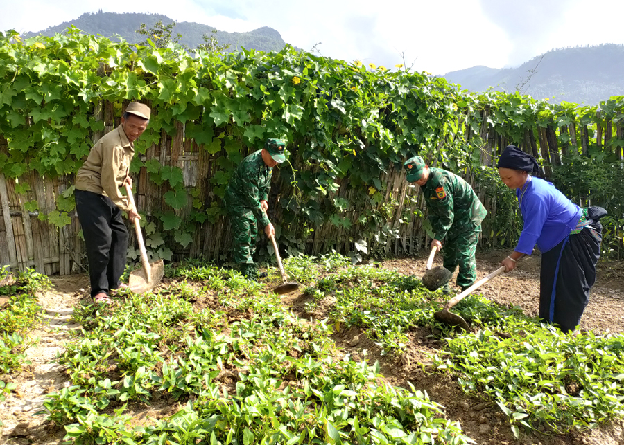 Cán bộ, chiến sỹ Đồn Biên phòng Thàng Tín giúp gia đình ông Thèn Sào Chấn, thôn Cao Sơn Thượng, xã Pố Lồ cải tạo vườn tạp.