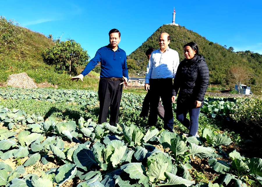 Chủ tịch UBND tỉnh Nguyễn Văn Sơn kiểm tra thực tế trồng cây vụ Đông tại thôn Lô Lô Chải.
