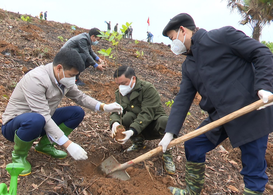 Các đại biểu tham gia trồng cây tại thôn Trung Thành, xã Bằng Lang.
