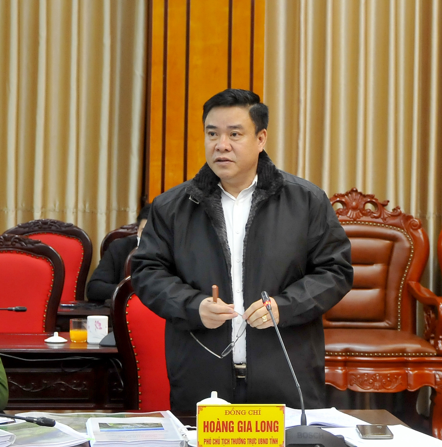 Phó Chủ tịch Thường trực UBND tỉnh Hoàng Gia Long phát biểu tại buổi làm việc.