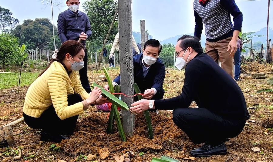 Chủ nhiệm UBKT Tỉnh ủy Trần Quang Minh và lãnh đạo huyện Bắc Quang tham gia trồng cây tại hộ gia đình bà Hoàng Thị Dung.