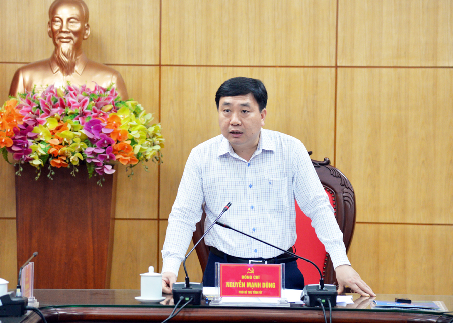 Phó Bí thư Tỉnh ủy Nguyễn Mạnh Dũng phát biểu tại buổi làm việc.

