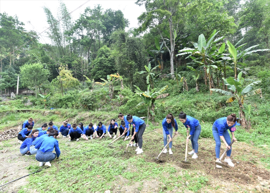 Tham gia thực hiện Chương trình Cải tạo vườn tạp tại thôn Khâu Vai, xã Khâu Vai