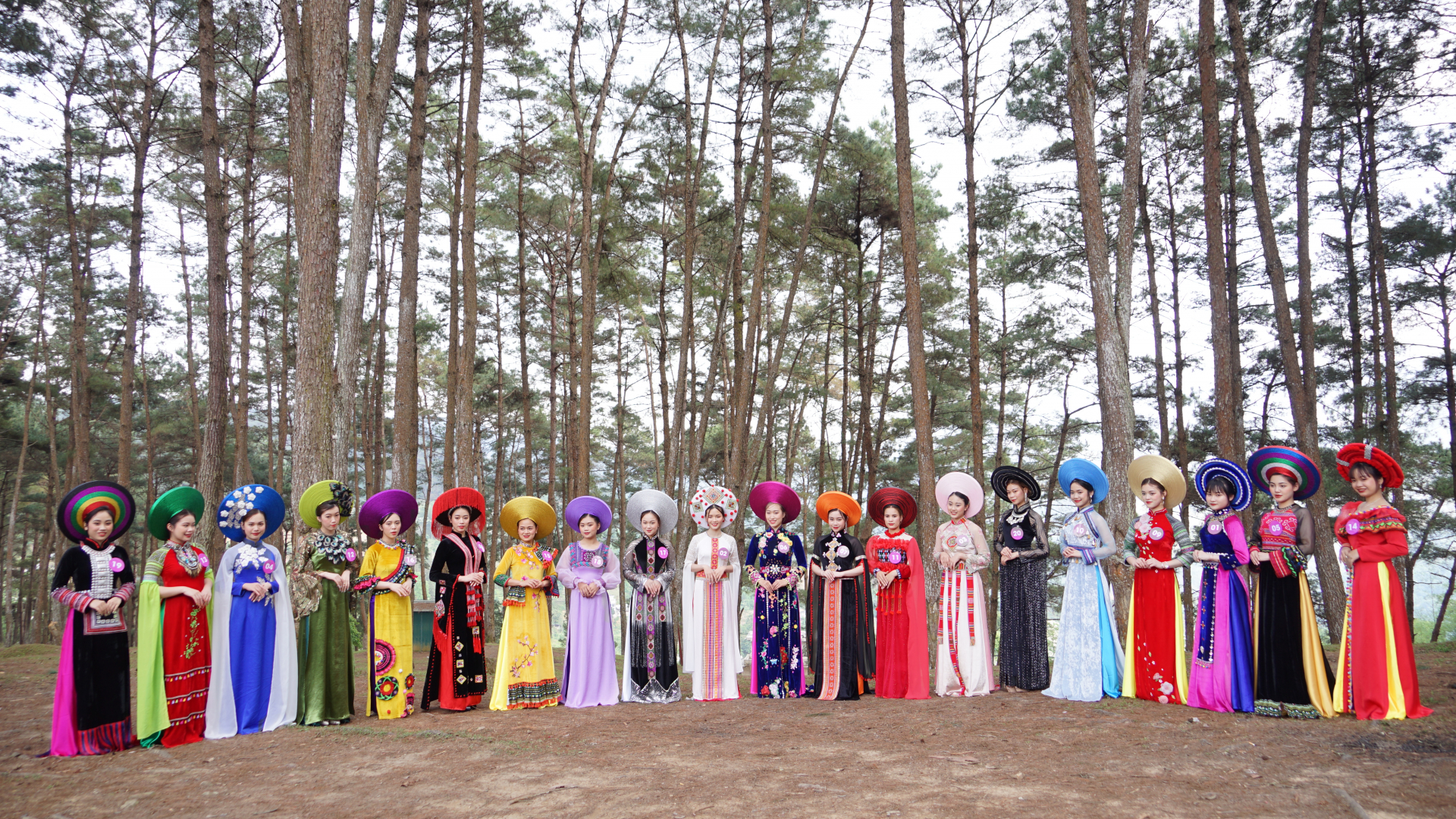 Các thí sinh chụp ảnh với trang phục áo dài tại đồi thông huyện Yên Minh