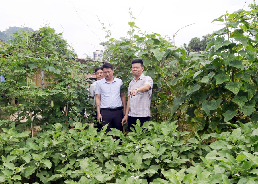 Lãnh đạo huyện Quang Bình tham quan một số mô hình cải tạo vườn tạp tại thôn Yên Thượng.