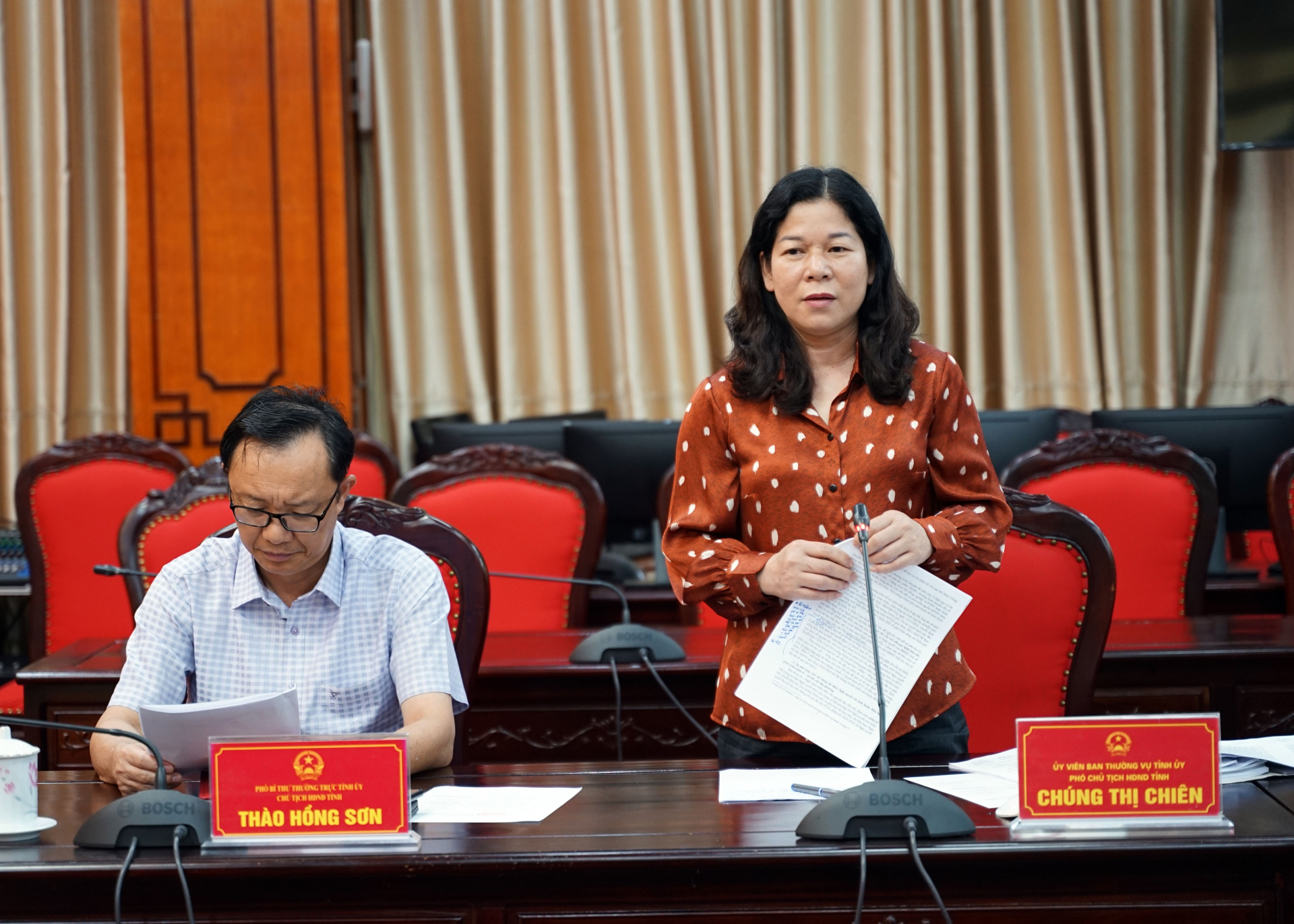 Phó Chủ tịch Thường trực HĐND tỉnh Chúng Thị Chiên phát biểu tại cuộc họp.