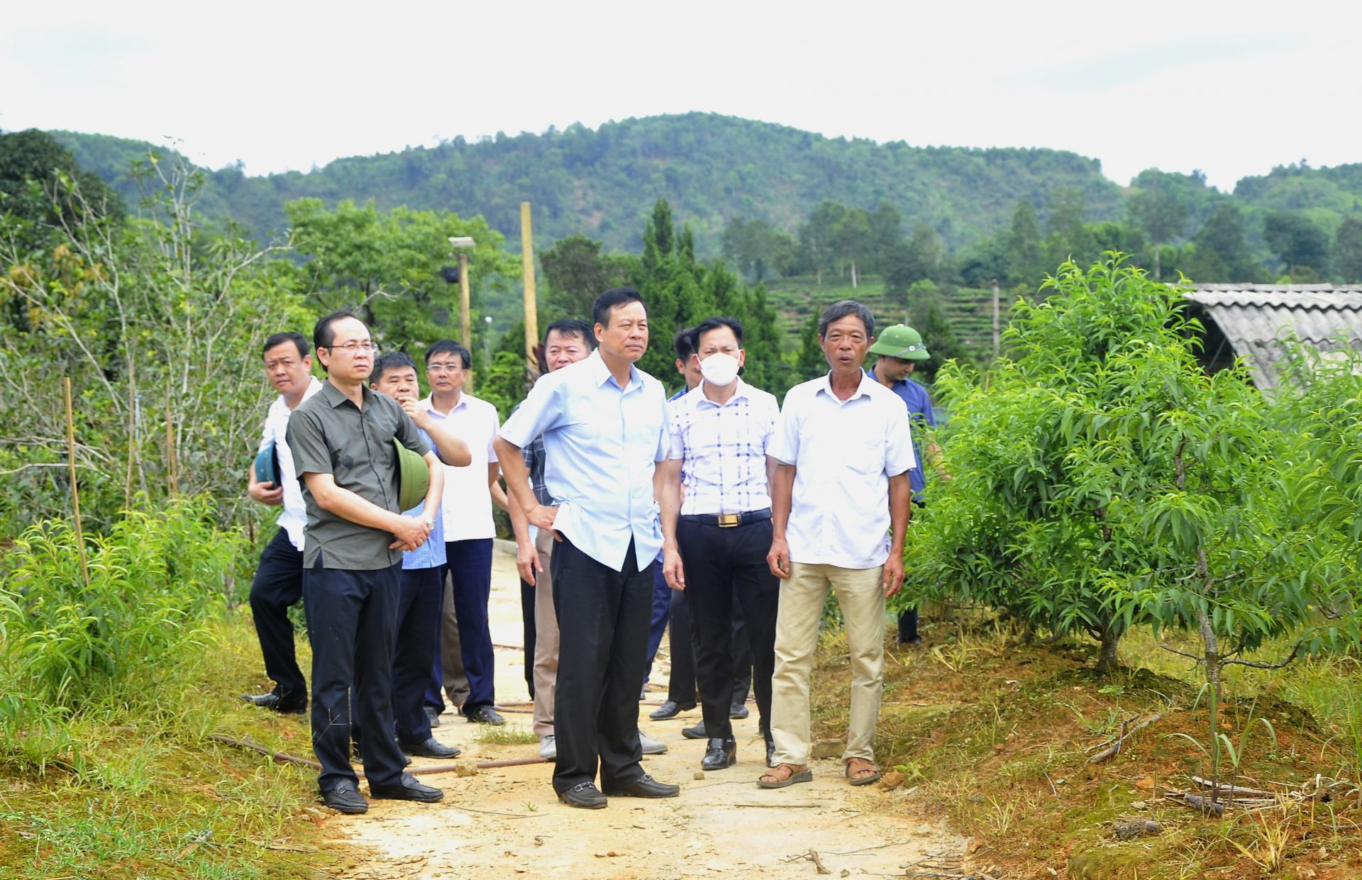 Chủ tịch UBND tỉnh Nguyễn Văn Sơn thăm mô hình chuyển đổi vườn tạp sang trồng cây cảnh của gia đình ông Trần Văn Giang, trưởng thôn Tân Mỹ, xã Tân Quang.