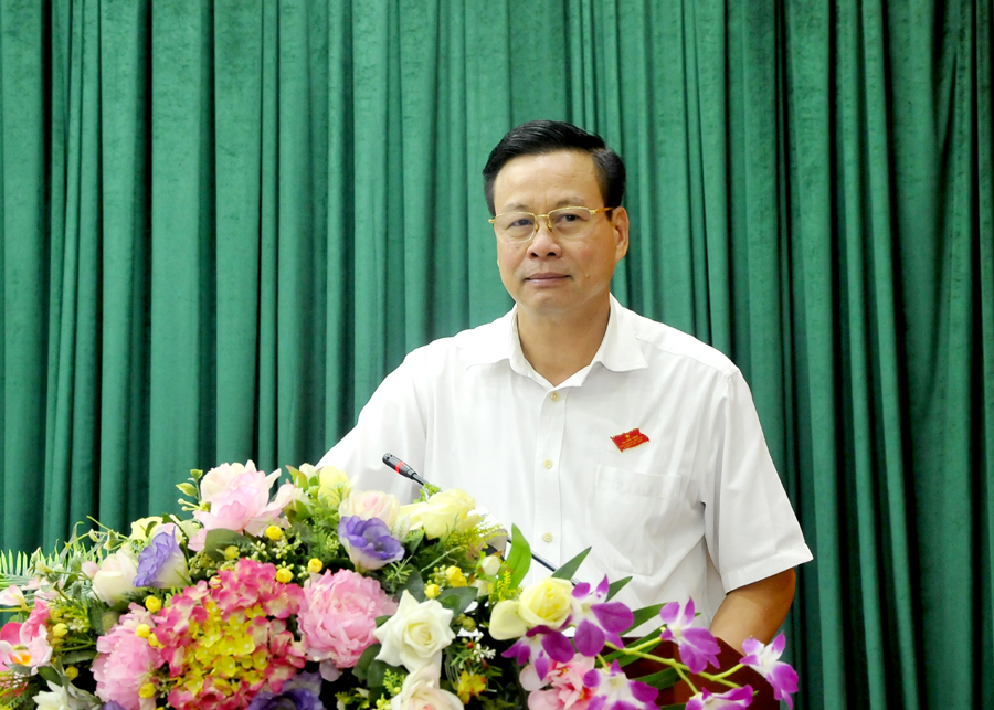 Chủ tịch UBND tỉnh Nguyễn Văn Sơn phát biểu tại kỳ họp.