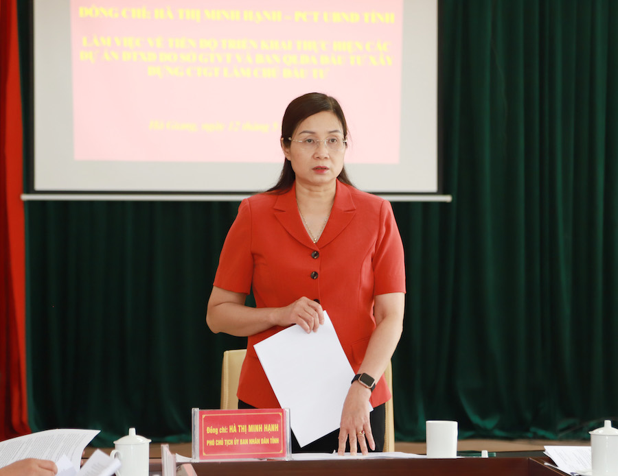 Phó Chủ tịch UBND tỉnh Hà Thị Minh Hạnh phát biểu kết luận buổi làm việc