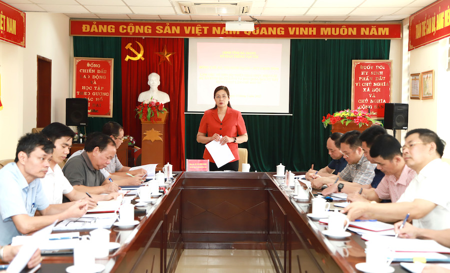 Phó Chủ tịch UBND tỉnh Hà Thị Minh Hạnh phát biểu kết luận buổi làm việc