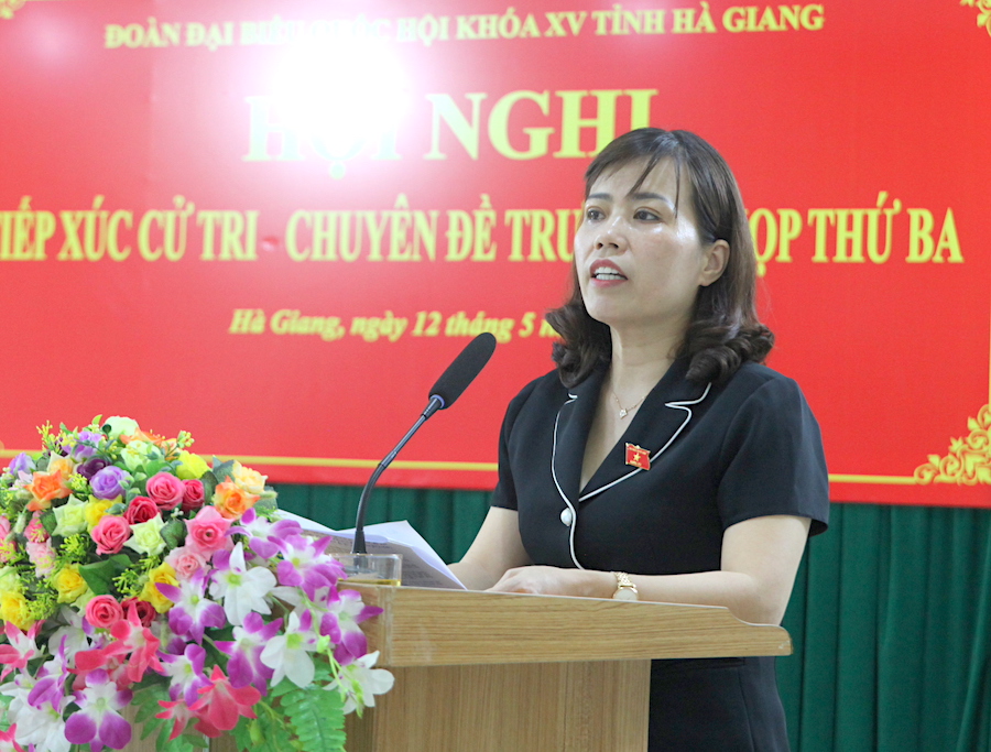 Phó Trưởng đoàn ĐBQH chuyên trách Lý Thị Lan phát biểu tại buổi tiếp xúc.