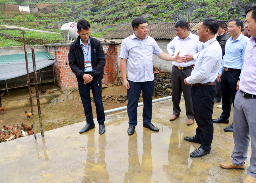 Phó Bí thư Tỉnh ủy Nguyễn Mạnh Dũng thăm mô hình chăn nuôi gà tại xã Vần Chải