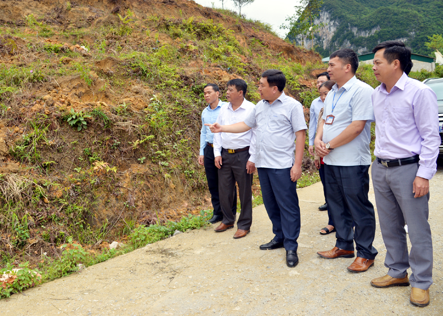 Phó Bí thư Tỉnh ủy Nguyễn Mạnh Dũng thăm mô hình chuyển đổi cây trồng tại thị trấn Phó Bảng