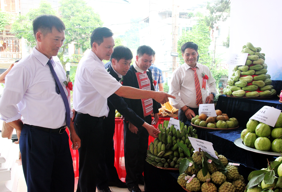 Các đại biểu tham quan gian hàng trưng bày các sản phẩm đặc trưng của các cấp Hội Nông dân.