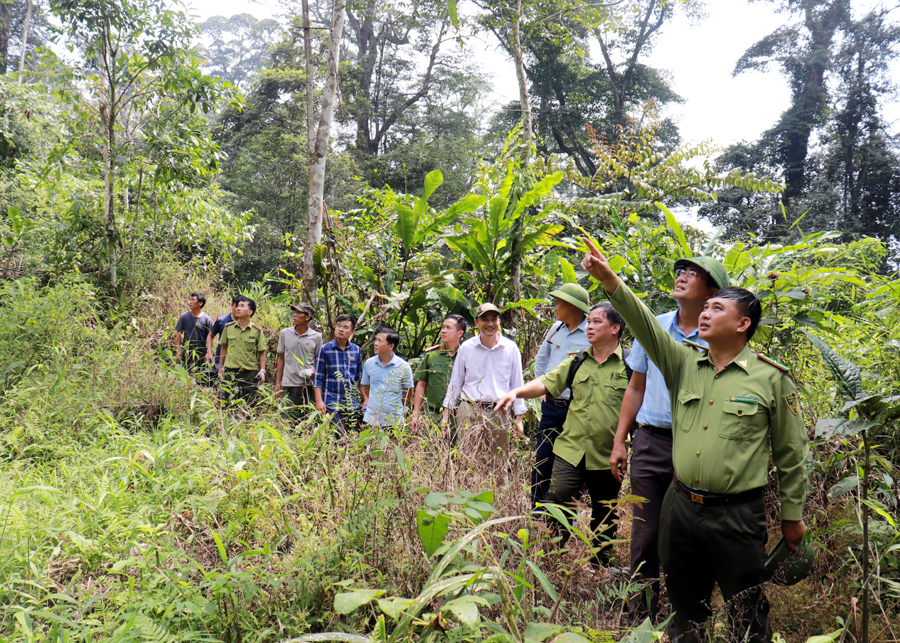 Cán bộ Quỹ BV& PTR cùng lực lượng chức năng tuần tra, kiểm tra rừng tại huyện Quản Bạ