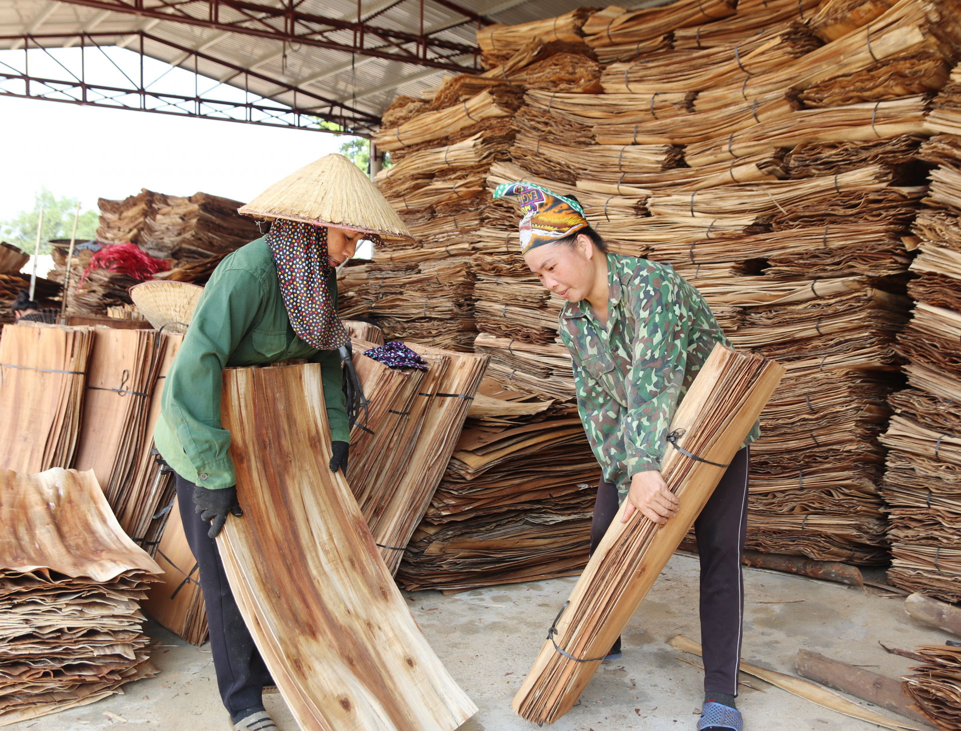 Sản xuất ván bóc giúp người dân xã Kim Ngọc (Bắc Quang) nâng cao thu nhập.