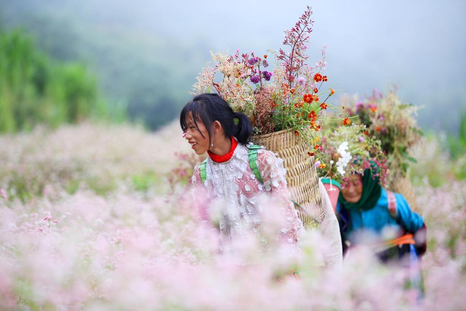 Các em nhỏ người HMông ở Hà Giang bên thung lũng hoa tam giác mạch.