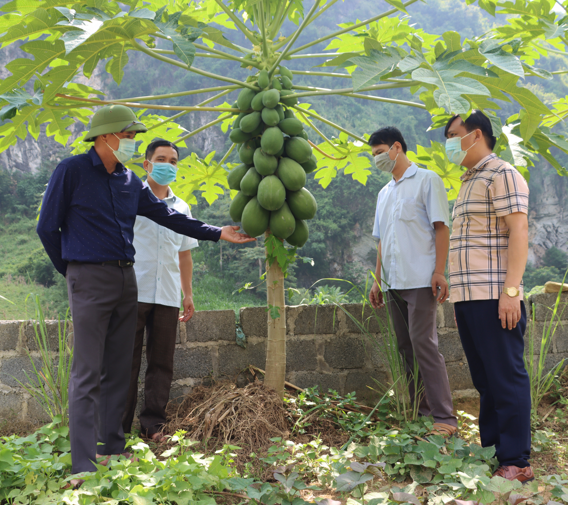 Lãnh đạo Văn phòng Điều phối NTM tỉnh kiểm tra tiến độ thực hiện Đề án Cải tạo vườn tạp tại xã Ngọc Long.