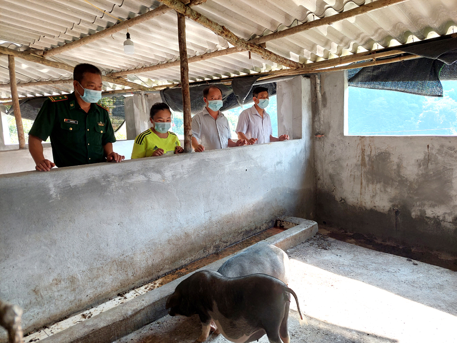 Gia đình anh Hoàng Văn Dảo, thôn Lũng Làn xây dựng chuồng trại chăn nuôi lợn đen.
