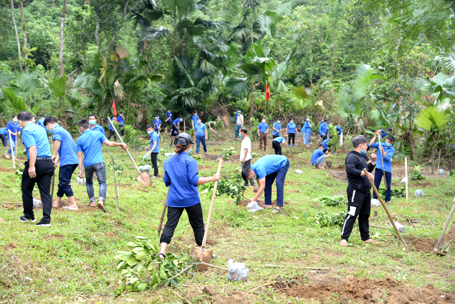 Đoàn viên, thanh niên giúp gia đình ông Nguyễn Văn Khương, xã Việt Vinh cải tạo vườn tạp trồng cây ăn quả.