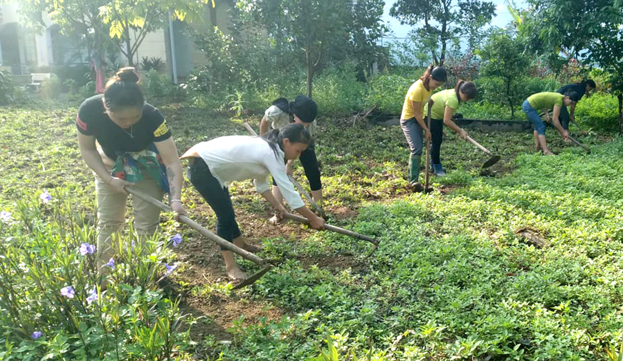 Hội Phụ nữ xã Kim Linh, Vị Xuyên giúp hội viên Hoàng Thị Tích, thôn Nà Thuông cải tạo vườn tạp. 					Ảnh: TƯ LIỆU