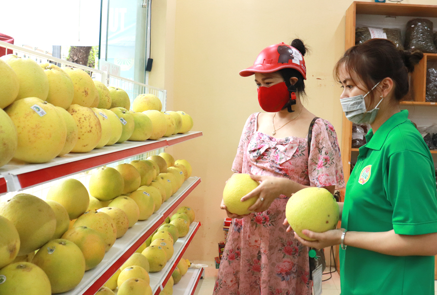 Sản phẩm được người dân mua ủng hộ hỗ trợ nông dân Hà Tĩnh