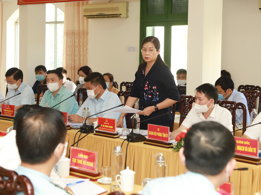 Phó Chủ tịch UBND tỉnh Hà Thị Minh Hạnh thảo luận tại buổi làm việc