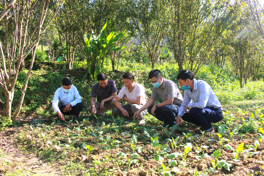 Đồng chí Nguyễn Trung Thu cùng lãnh đạo xã Nàn Ma thăm hộ anh Giàng Văn Minh, thôn Lùng Sán, là hộ đi đầu trong thực hiện cải tạo vườn tạp.