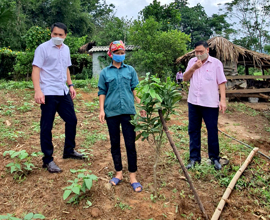 Đoàn kiểm tra gia đình anh Bố Văn Mong, xã Tùng Bá sử dụng vốn vay phát triển cây cam