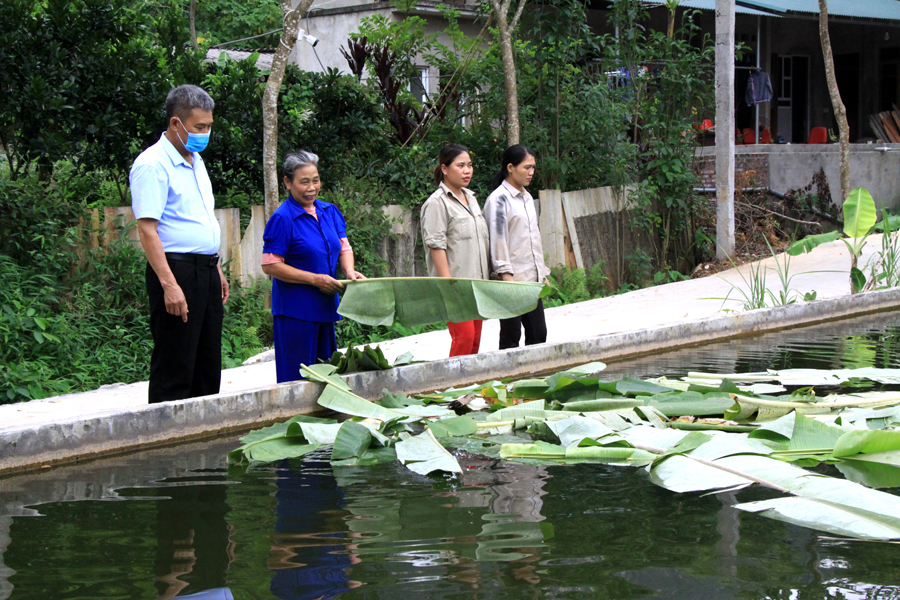 Bà Dương Thị Bình (thứ hai bên phải), tổ 7, phường Quang Trung cải tạo vườn, ao, chuồng để phát triển kinh tế.