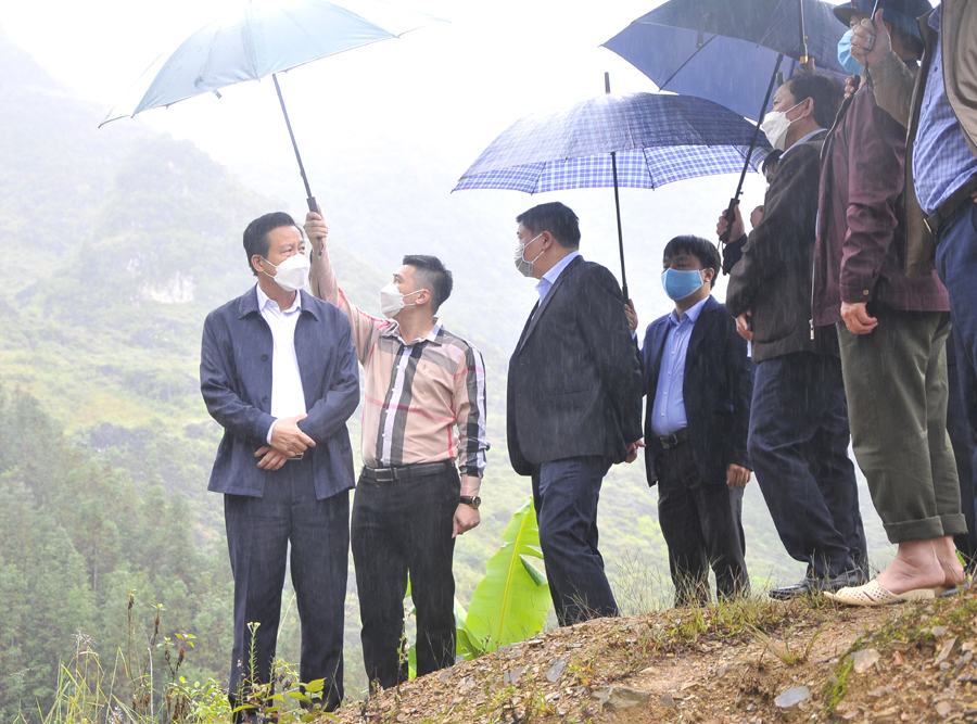 hủ tịch UBND tỉnh Nguyễn Văn Sơn kiểm tra thực địa diện tích rừng nằm trong khu vực thực hiện dự án của Công ty Cổ phần dược liệu Bông Sen Vàng.