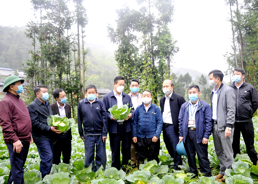 Chủ tịch UBND tỉnh Nguyễn Văn Sơn thăm mô hình cải tạo vườn tạp để trồng rau hàng hóa tại xã Sảng Tủng (Đồng Văn).